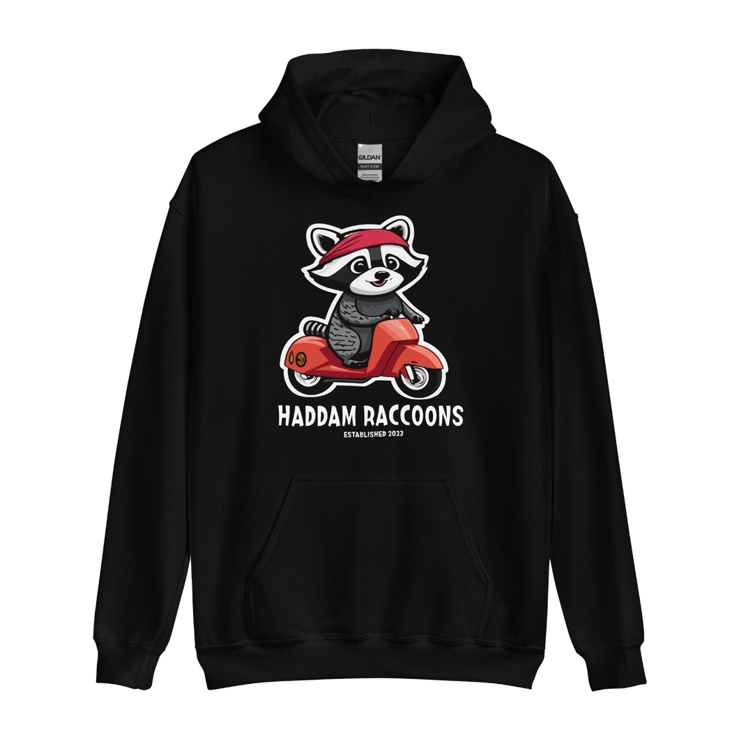 Haddam Raccoons Hoodie