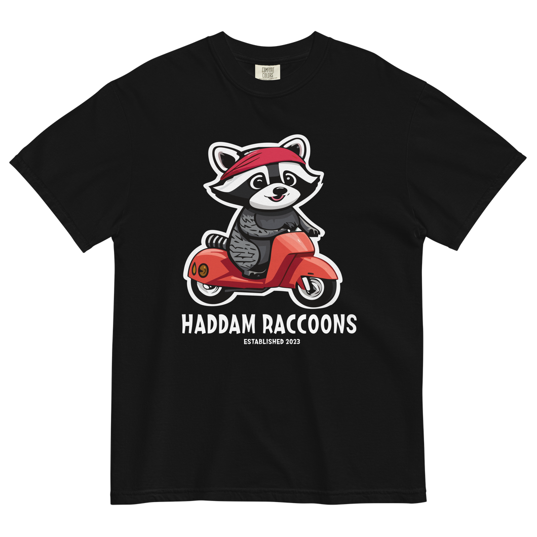 Haddam Raccoons Tee
